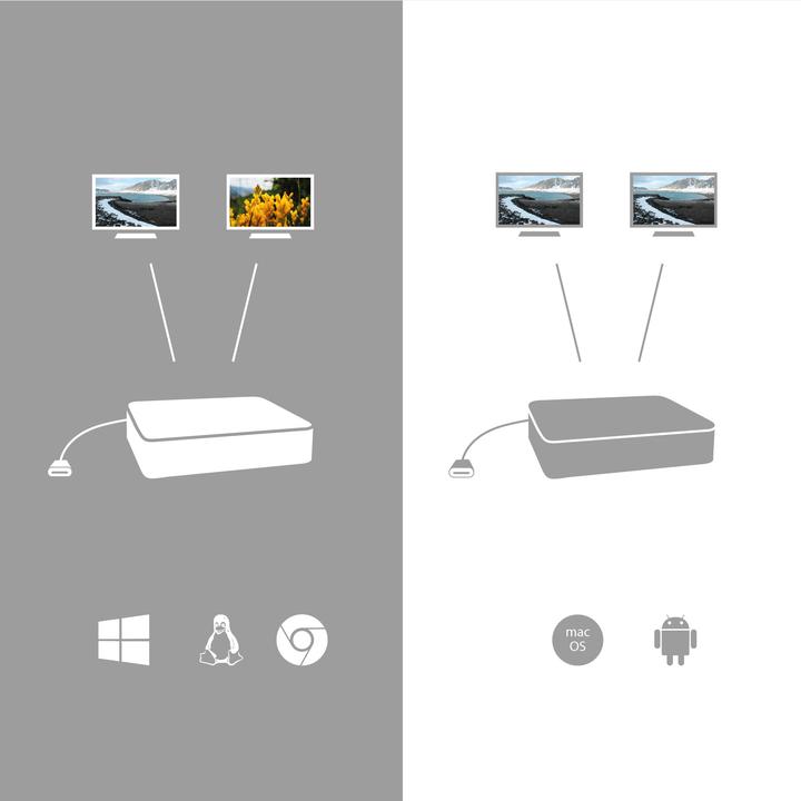 Image du produit i-tec Dual Display (USB-C, 10 Ports)