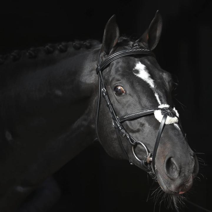 Actual product image Kerbl Snaffle bridle Cancun black, Full