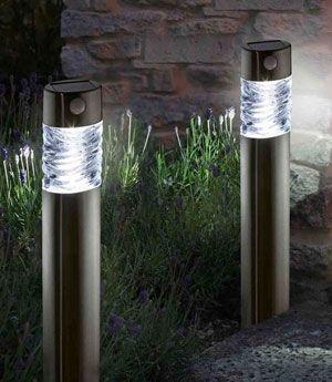 Actual product image Smart Garden Pharos (50 lm)