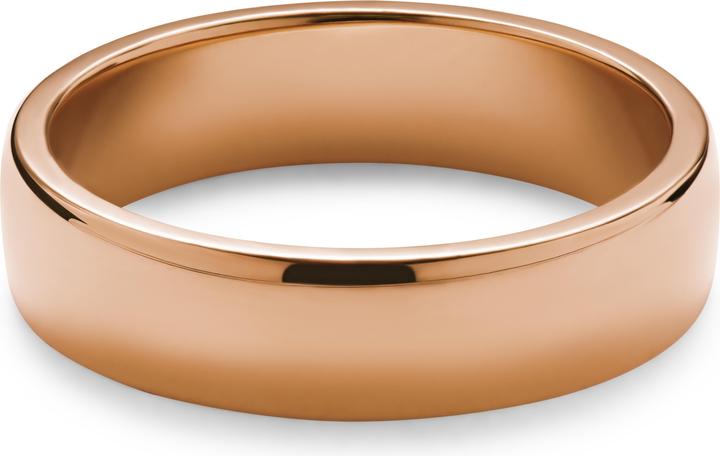 Immagine prodotto Lucleon Ferrum (57, 925 Argento)