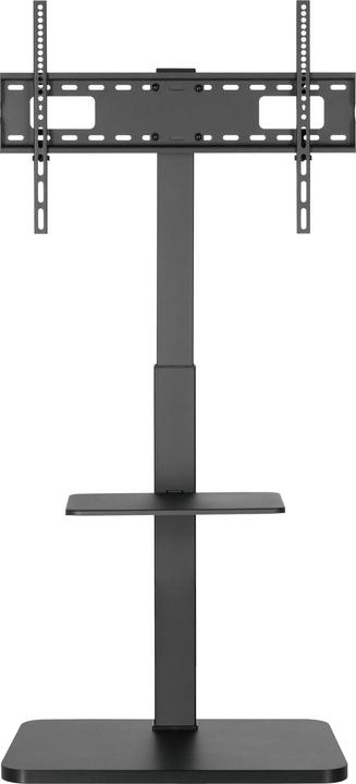 equip Bodenständer (Universel, 75", 40 kg)