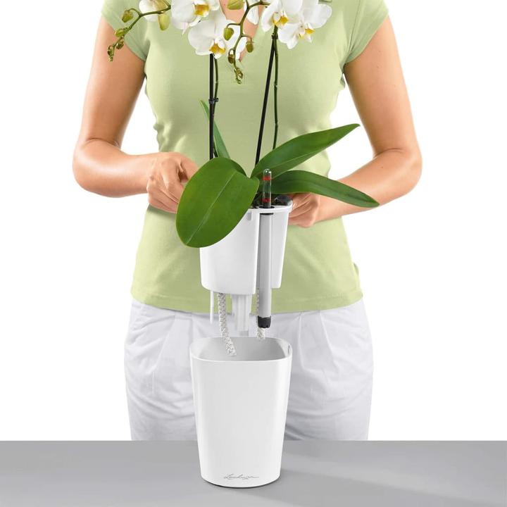 Produktbild Lechuza Deltini (15 cm)