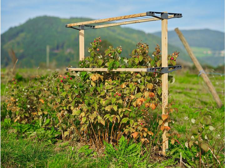 Productafbeelding Gusta Garden BERRY BUDDY modulaire bruine bessenhouder (93 cm, 11.90 cm)