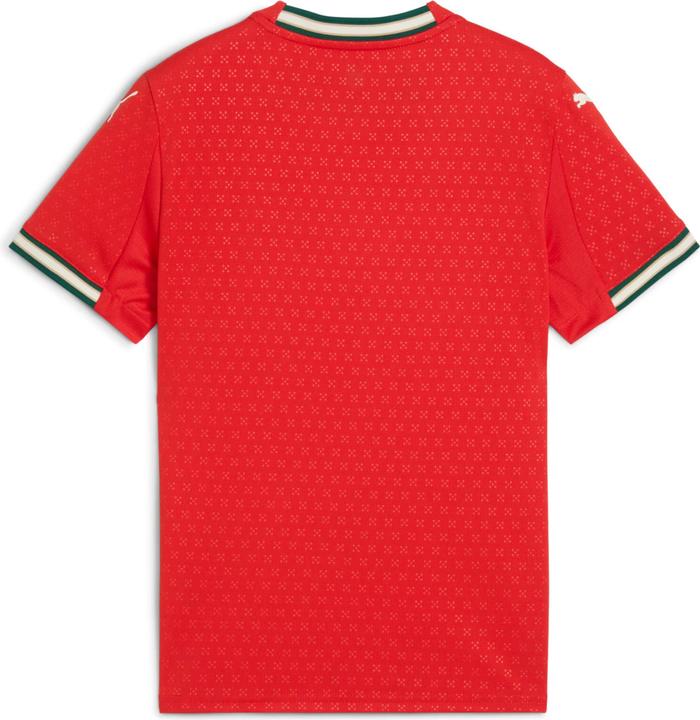 Immagine prodotto Puma Maglia FPF Home Replica Jr (116)