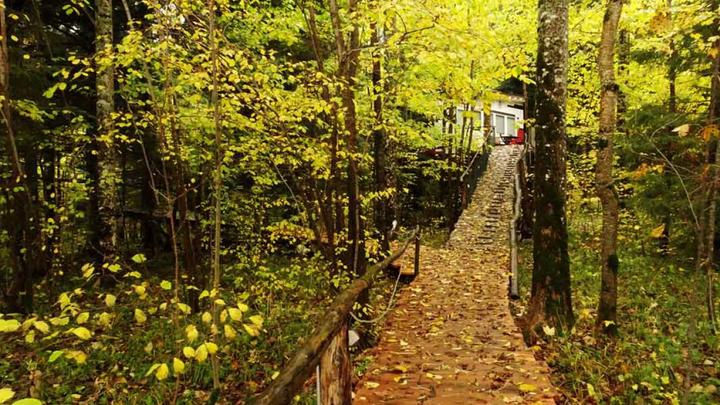 Image du produit Nuitée dans une cabane dans les arbres (2 pers.)