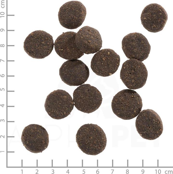 Produktbild Wolfsblut Blue Mountain (Adult, 1 Stk., 12500 g)