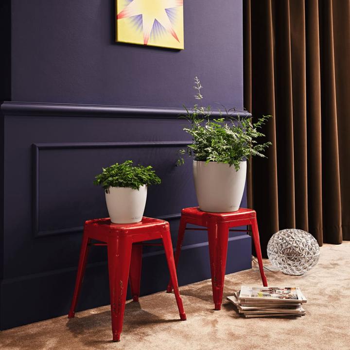 Actual product image Lechuza Classico Color (21.50 cm)