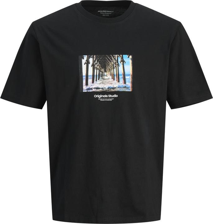Produktbild Jack & Jones Jorvesterbro Picture Tee Ss Crew Neck Sn (M)