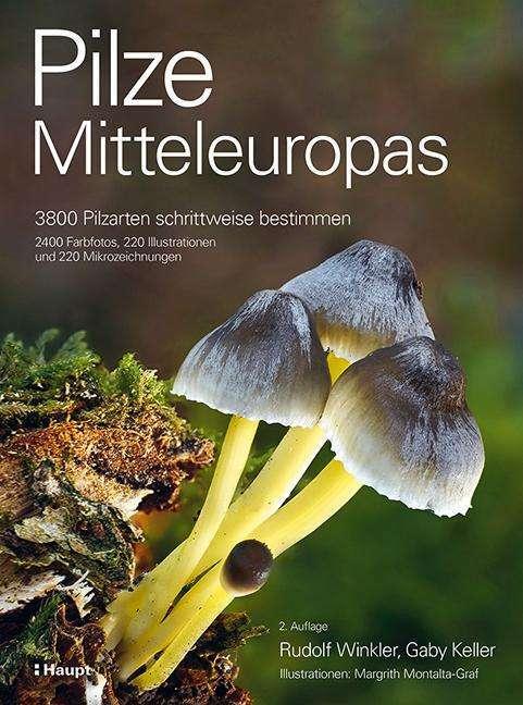 Actual product image Pilze Mitteleuropas (German, Gaby Keller, Rudolf Winkler, Margrith Montalta-Graf, 2024)