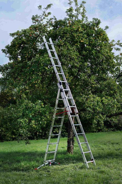 Actual product image Hailo S100 ProfiLOT, aluminium combination ladder 3-section, 2x9 + 1x8 rungs (Stepladder, 19 cm)