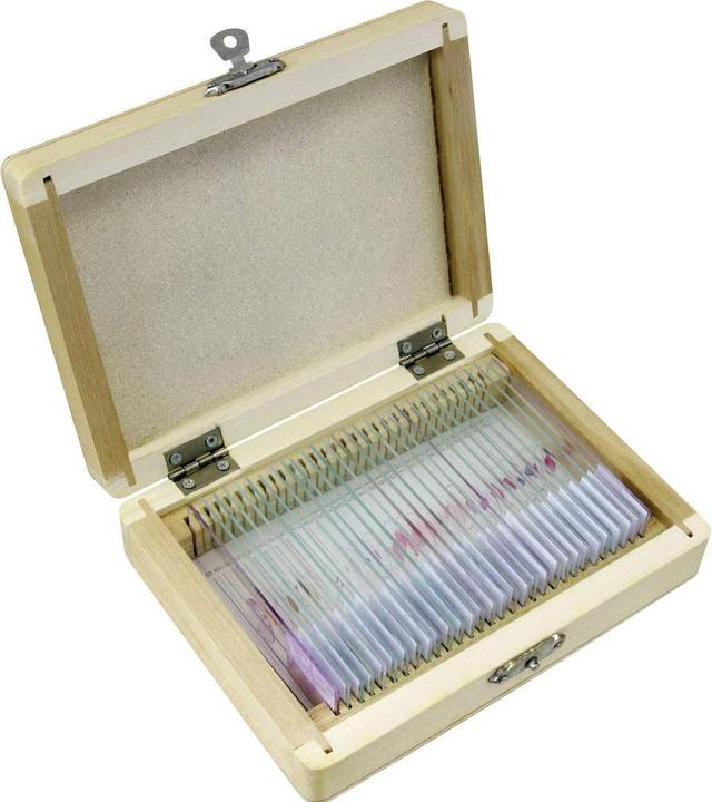 Actual product image Bresser Experiment set
