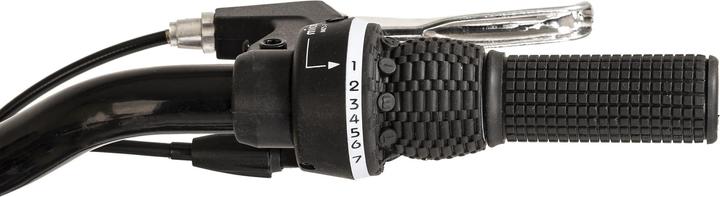 Actual product image Wyld Mountainbike Hardtail ATB Twentyniner 29“ Heist 21 Gänge RH 51 cm (51 cm)