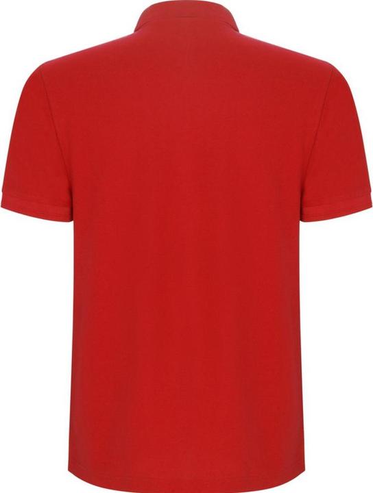 Produktbild Alpinia Pegaso Premium Poloshirt kurzärmlig (146, 152)