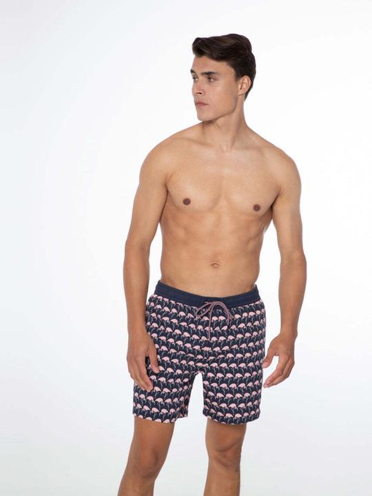 Actual product image MGA Men's shorts protest Prtohlander beach shorts (L)