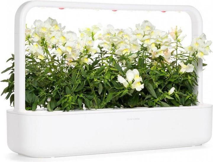 Actual product image Click and Grow Seeds White snapdragon 3-pack