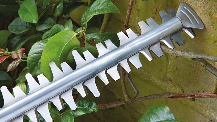 Produktbild Bosch Home & Garden AHS 50-20 ohne Akku (Akkuheckenschere)