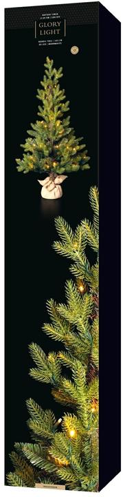 Actual product image STT Nordic Tree