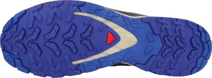 Image du produit Salomon XA PRO 3D V9 GTX - 60353 (44 2/3)