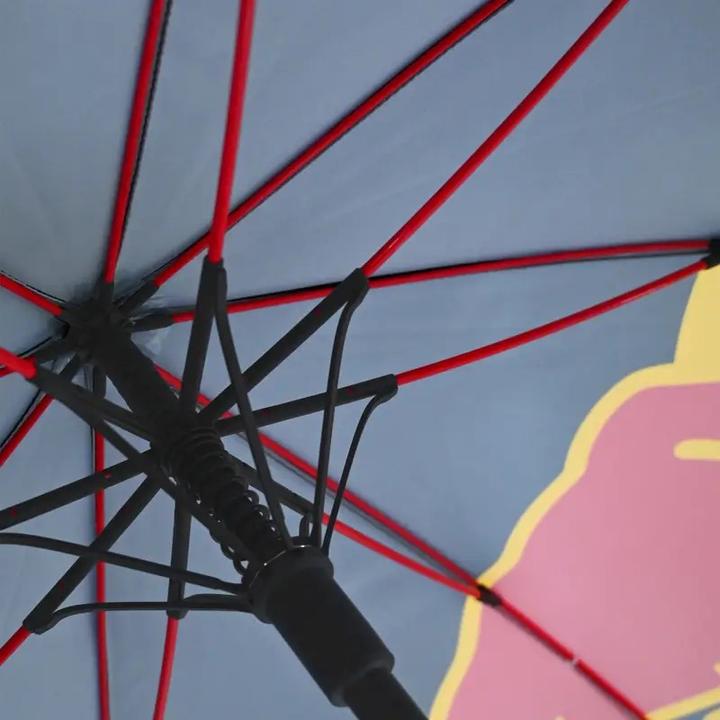 Image du produit Sparco Red Bull Racing Regenschirm