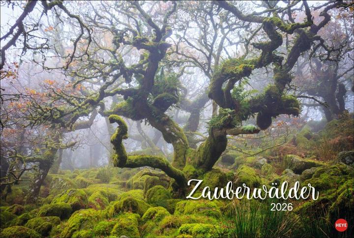 Actual product image Zauberwälder Edition Kalender 2026 (Hardcover, German)