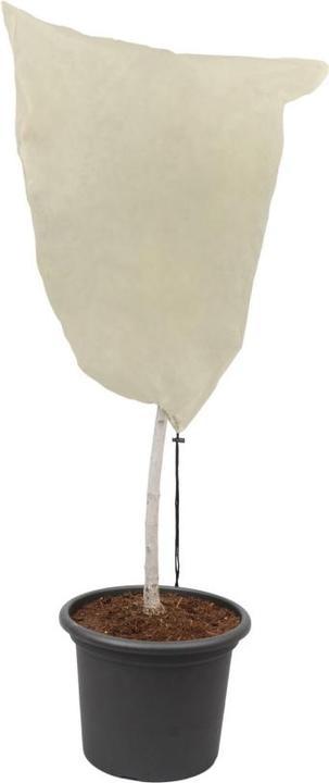 Produktbild Colibri Winter Hood XL