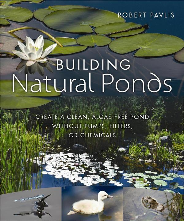 Produktbild Building Natural Ponds (Englisch, Robert Pavlis, 2017)