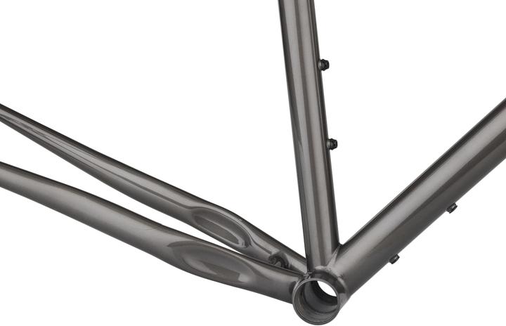 Productafbeelding Salsa Fargo frameset, 29", L