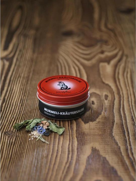 Produktbild Puralpina Murmeli-Kräutersalbe (1 x, 100 ml, 120 g)