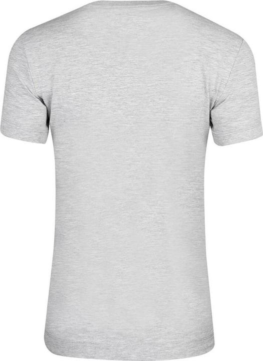 Actual product image Guess WOMEN'S T-SHIRT SS CN MINI TRIANGLE GREY W2YI44J1314 LMGY M (M)