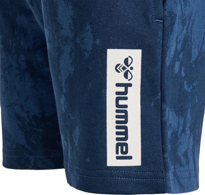 Image du produit hummel Hmljump Aop Shorts (146)