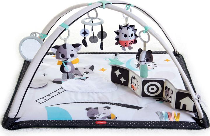 Image du produit Tiny Love Boho Chic Luxe Gymini de développement