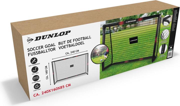 Dunlop Soccer goal