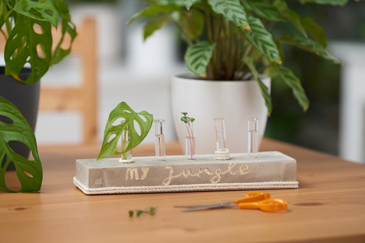 Produktbild VBS Reagenzgläser für Dekorationen, 10er Pack, 12x75mm