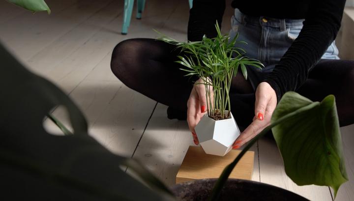 Image du produit Flyte LYFE Planter (154 cm)