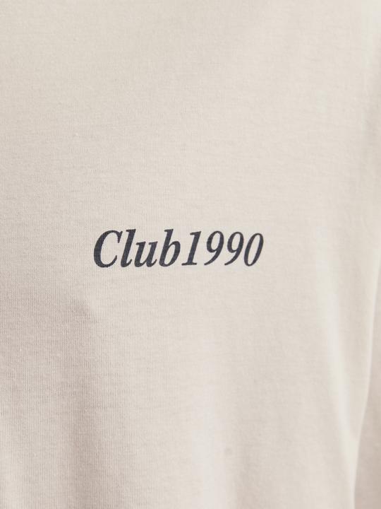 Actual product image Jack & Jones Jjebradley Graphic Tee Ss O-Neck Noos (M)