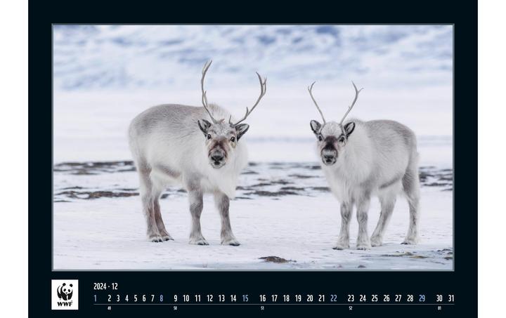 Produktbild Simplex Kalender WWF 2024 (48.5 x 34 cm)
