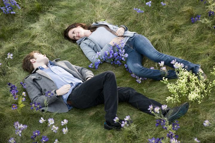 Actual product image Twilight New Moon (DVD, 2011, German, English)