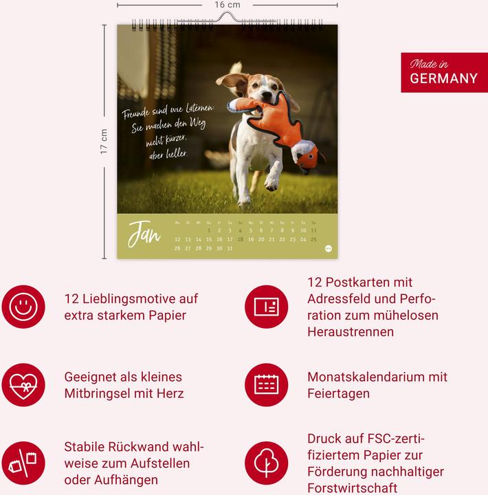 Actual product image Ziemlich beste Freunde Postkartenkalender 2026 - Für immer dein (Hardcover, German)