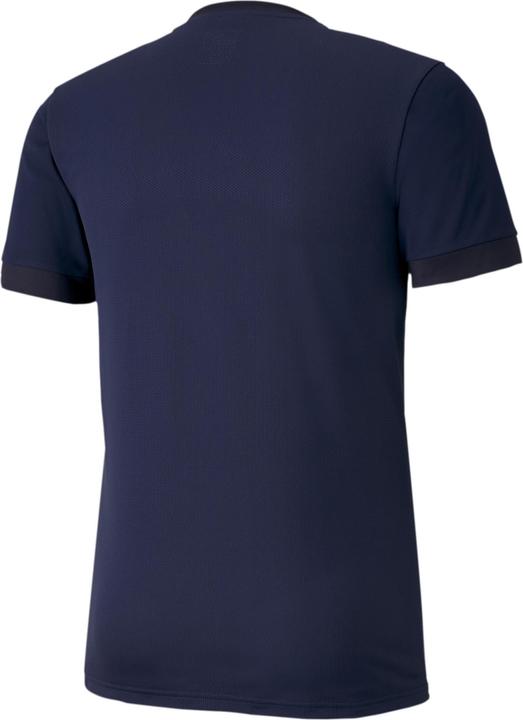 Actual product image Puma teamGOAL 23 Jersey-704171 (S)