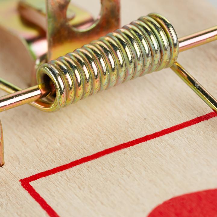 Actual product image Relaxdays 40x mousetrap