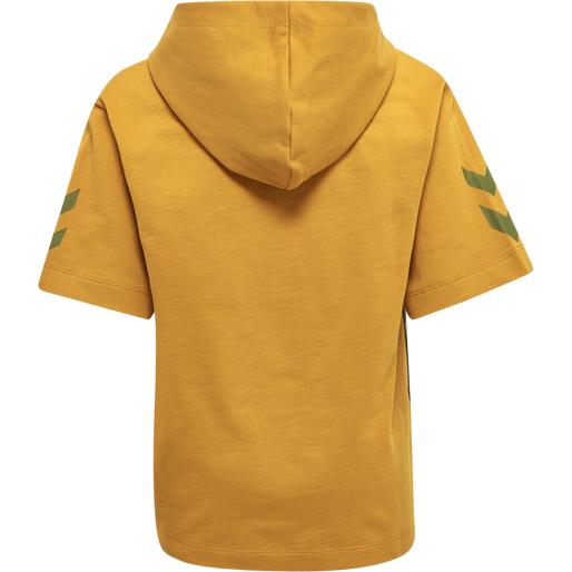 Immagine prodotto hummel Felpa con cappuccio Hmlcloud S/S (110)
