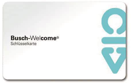 Immagine prodotto Busch-Jaeger Scheda chiave degli accessori di benvenuto 83173 (Scheda chiave)