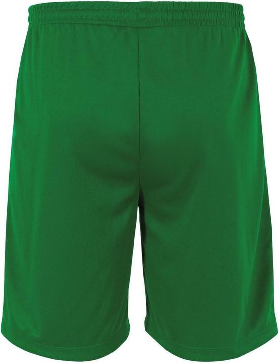 Actual product image Stanno Club Pro Shorts (S)