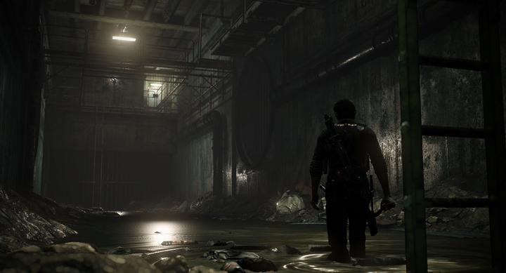 Image du produit Plaion The Evil Within 2 (kh1) (PC, IT)