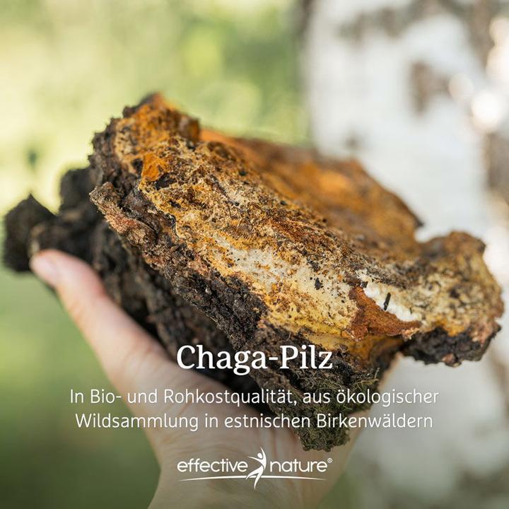 Produktbild Effective Nature Chaga (1 Stück, Pulver, 100 g)