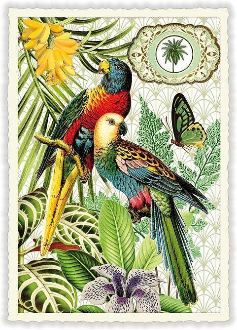 Produktbild Edition Tausendschön Postkarte / Zwei Papageie / blanko