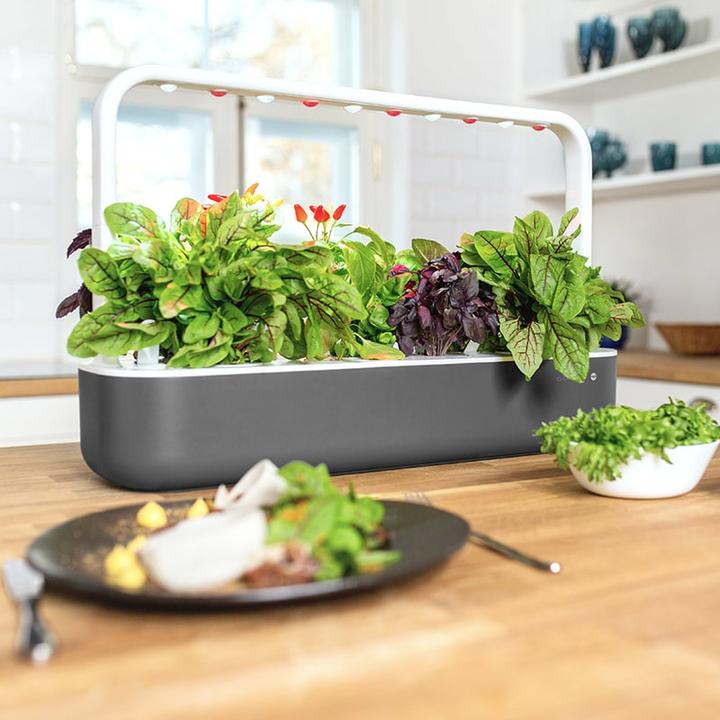 Productafbeelding Emsa Slimme tuin 9 Click&Grow (18.50 cm)