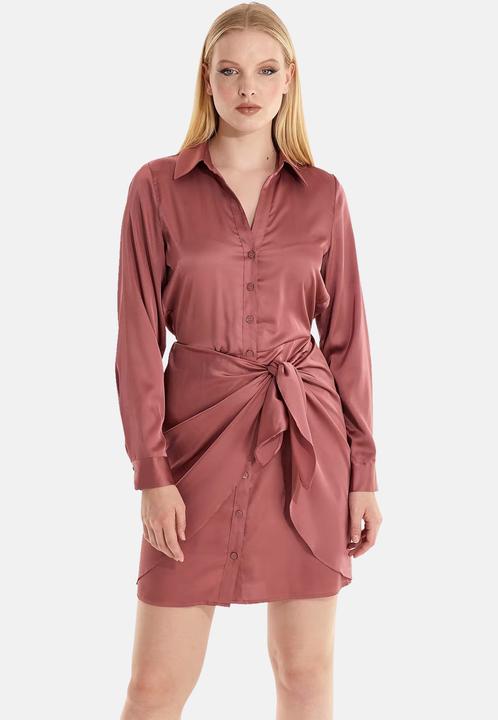 Actual product image Guess Kleider Langärmliges Hemdkleid Alya mit durchgehender Knopfleiste in glänzender Optik (XS)