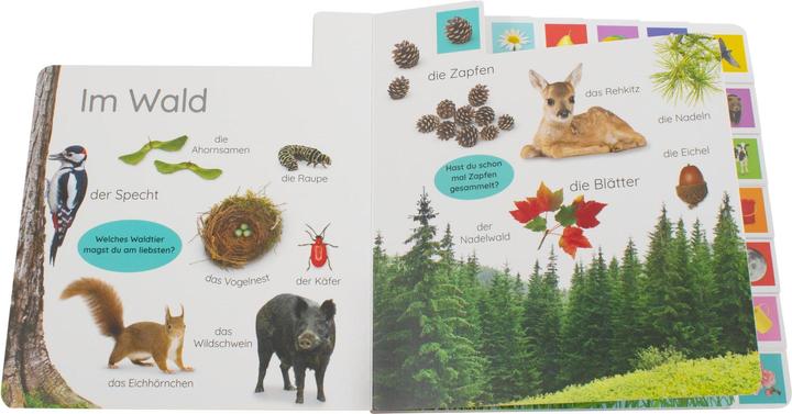 Produktbild Erstes Lernen. In der Natur (Deutsch, DK Verlag - Kids, 2021)
