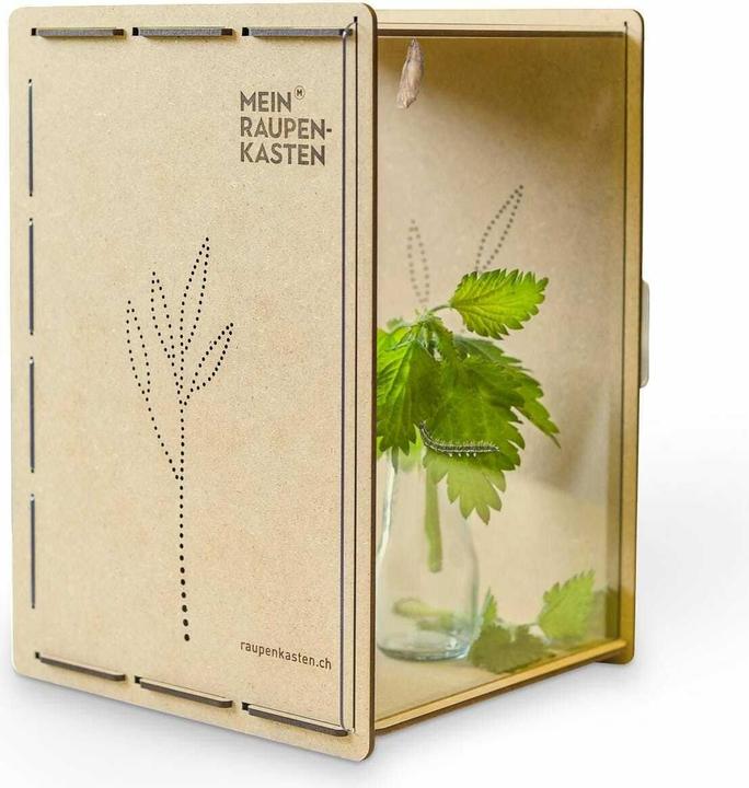 Mein Raupenkasten Insetto hotel caterpillar box (Farfalle)